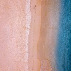 nikldn-690502-unsplash.jpg